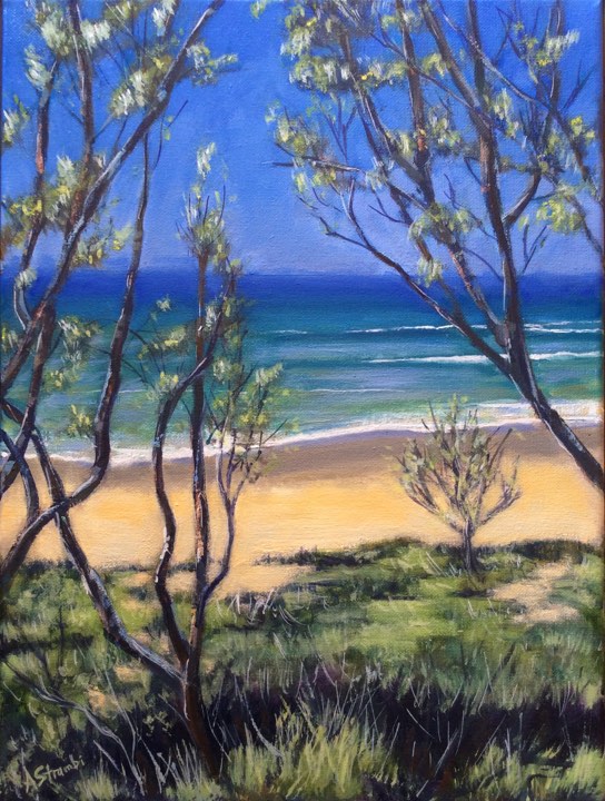 Beach Glimpse at Wooli