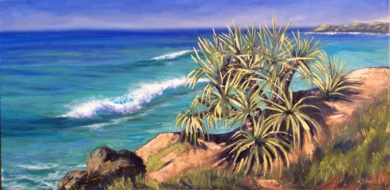 Cabarita Pandanus